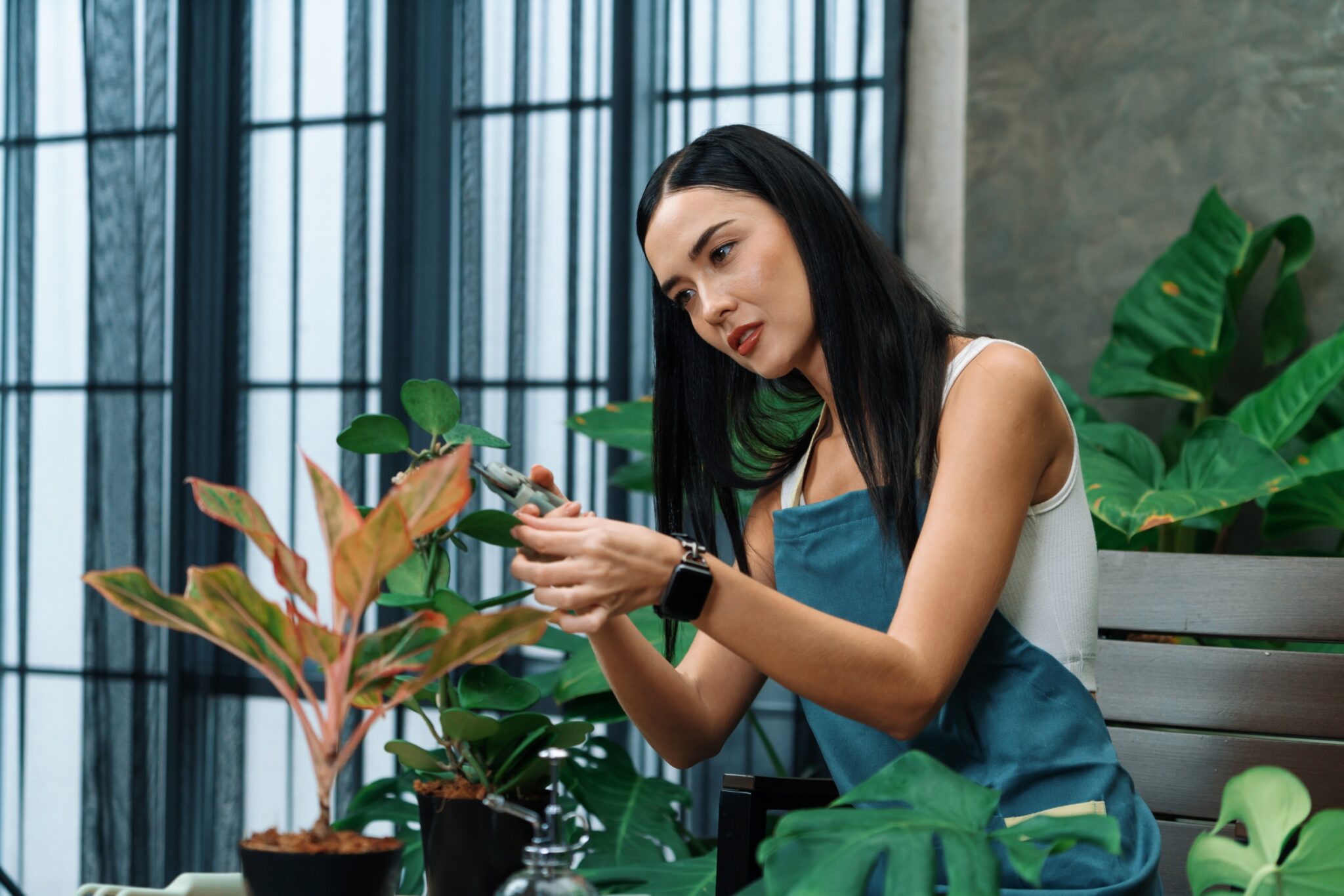 Gallery Detail: The Ultimate Guide To Indoor Plant Temperature Needs